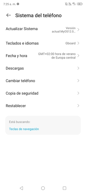Seleccione Actualizar Sistema