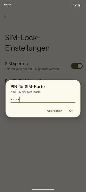 Geben Sie Ihre Alte PIN der SIM-Karte ein und wählen Sie Ok