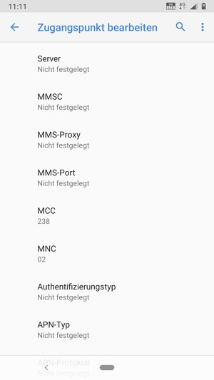 Scrollen Sie nach unten und geben Sie Internetinformationen ein