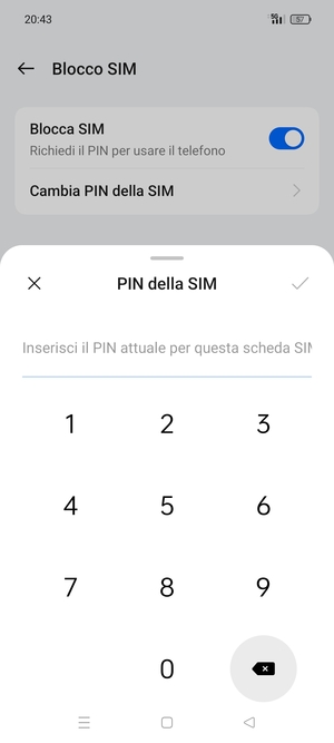 Inserisci PIN attuale della scheda SIM e seleziona OK