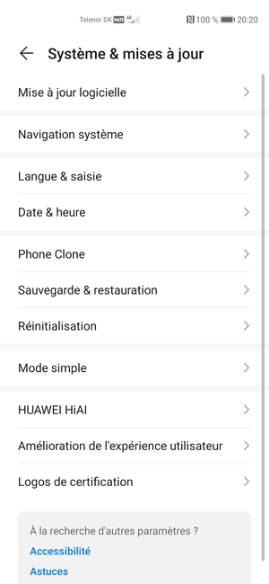 Sélectionnez Mise à jour logicielle