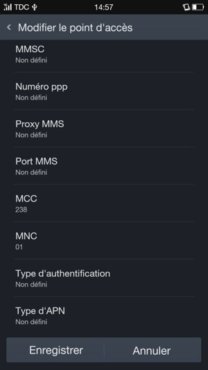 Faites défiler vers le bas et saisissez les informations MMS