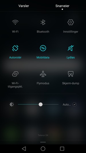Kryss av i Auto... avkrysningsboksen