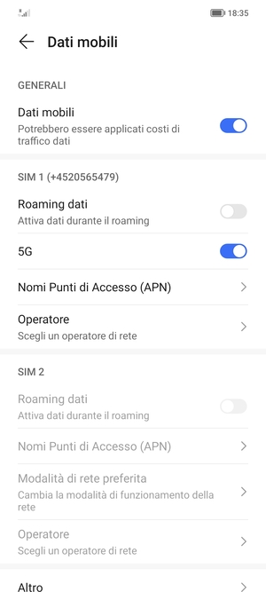 Scorri fino a SIM 1 o SIM 2 e seleziona Nomi Punti di Accesso (APN)