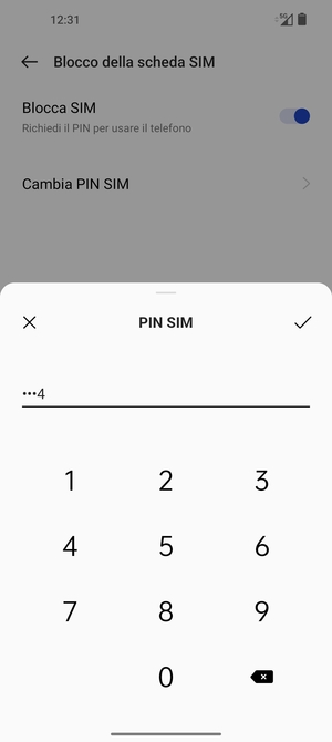 Inserisci PIN della SIM attuale e seleziona OK