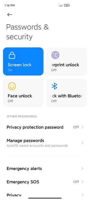 Your phone is now secure with a screen lock