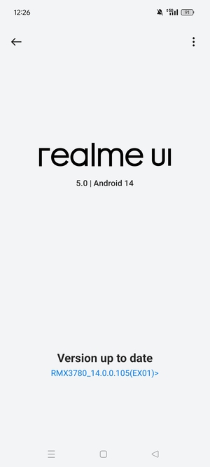 If your phone is up to date, you will see the following screen