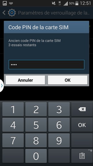 Saisissez votre Ancien code PIN de la carte SIM et sélectionnez OK