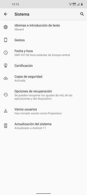 Seleccione Actualización del sistema