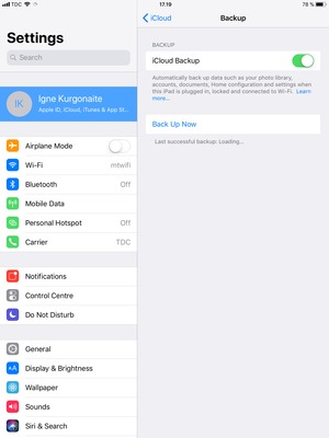 Set iCloud Backup to ON