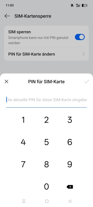 Geben Sie Aktuelle PIN für die SIM-Karte ein und wählen Sie OK