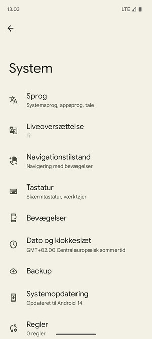 Vælg Systemopdatering