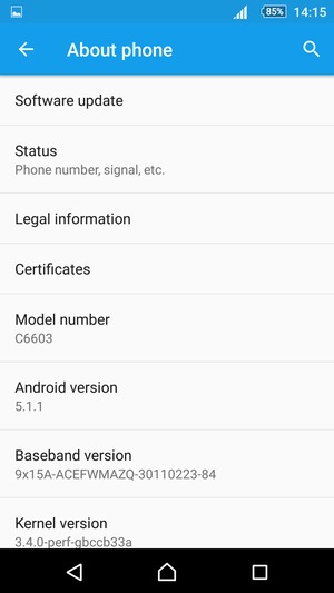 Select Software update