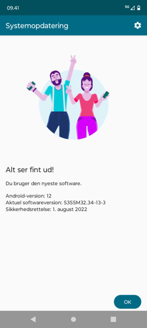 Hvis din telefon er opdateret, vælg OK
