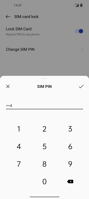 Enter your New SIM PIN and select OK