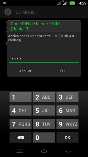 Saisissez votre Ancien code PIN de la carte SIM et sélectionnez OK