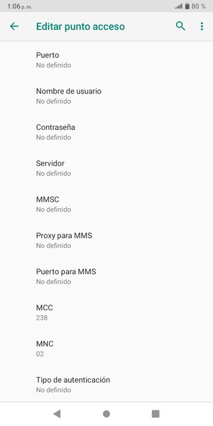 Desplácese hacia abajo e introduzca la información de Internet