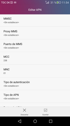 Desplácese hacia abajo e introduzca la información de Internet