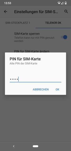 Geben Sie Alte PIN der SIM-Karte ein und wählen Sie OK