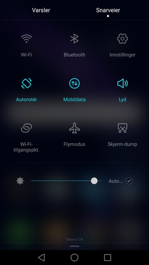 Kryss av i Auto... avkrysningsboksen