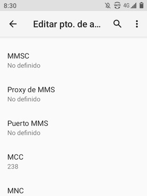 Desplácese hacia abajo e introduzca la información MMS