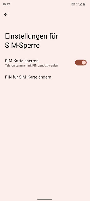 Wählen Sie Public und PIN für SIM-Karte ändern