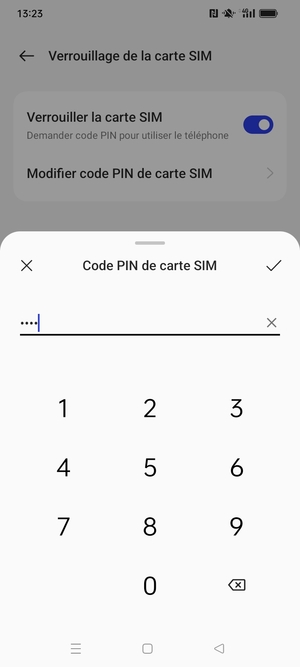 Saisissez votre Nouveau code PIN de carte SIM et sélectionnez OK