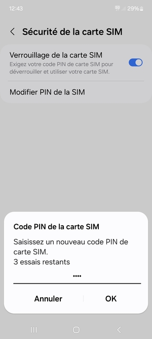Saisissez votre Nouveau code PIN de carte SIM et sélectionnez OK