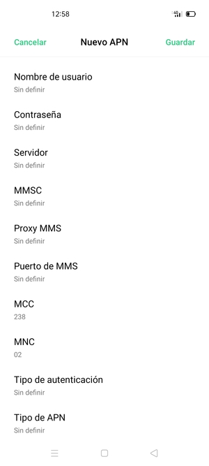 Desplácese hacia abajo e introduzca la información de Internet