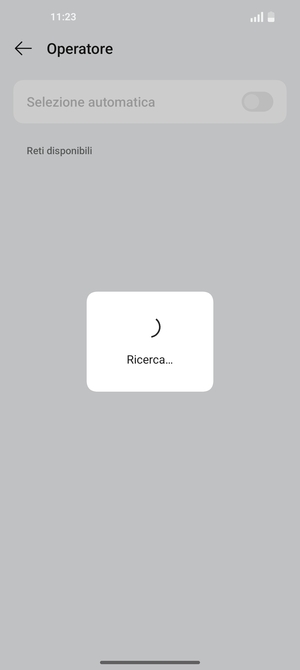 Attendi il completamento della ricerca