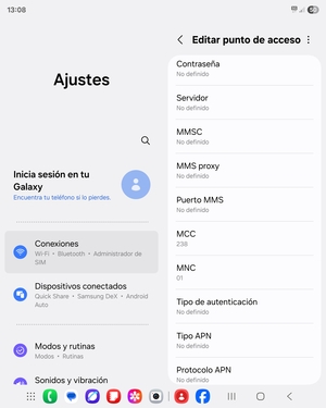 Desplácese hacia abajo e introduzca la información MMS