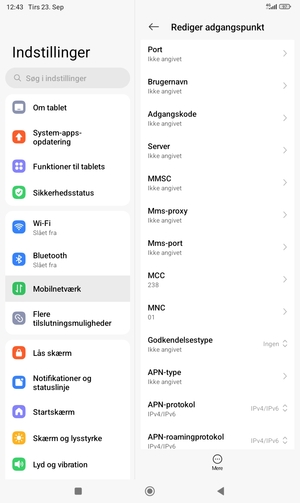 Scroll ned og indtast internet-oplysninger