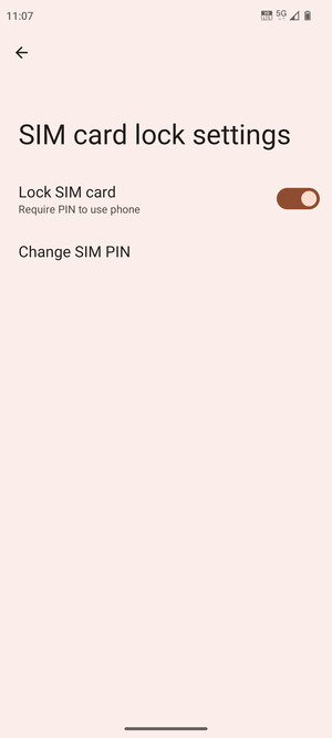 Select Change SIM PIN