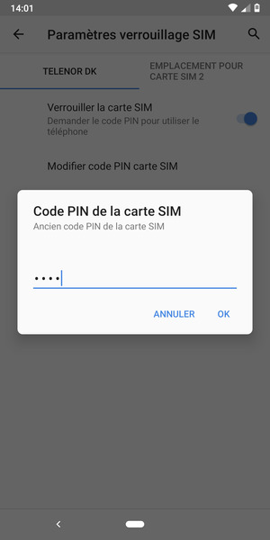 Saisissez Ancien code PIN de la carte SIM et sélectionnez OK