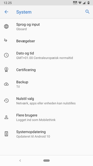 Vælg Systemopdatering