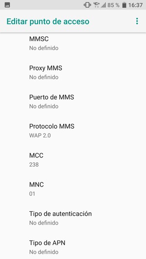 Desplácese hacia abajo e introduzca la información MMS