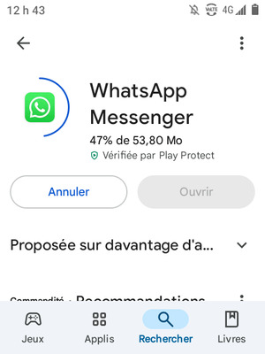 Veuillez attendre la fin de la procédure d'installation