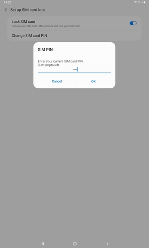 Enter your Current SIM card PIN and select OK