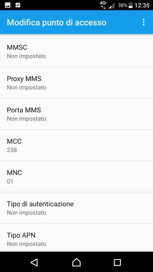 Scorri verso il basso e inserisci le informazioni degli MMS