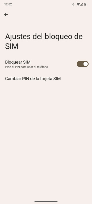 Seleccione  Cambiar PIN de la tarjeta SIM
