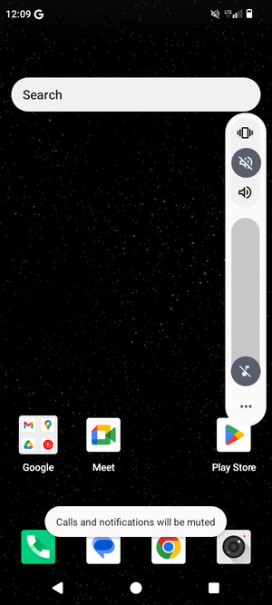 Select Mute to change to silent mode