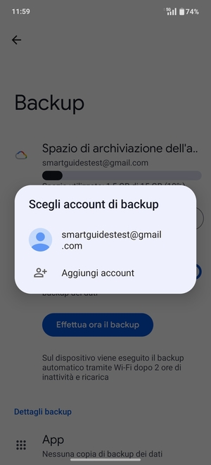 Seleziona il tuo account di backup