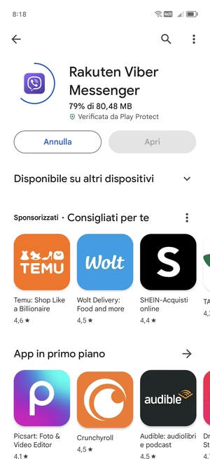 Attendi il completamento del processo di installazione