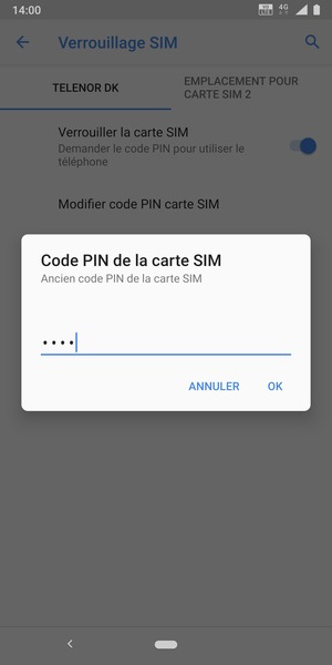 Saisissez votre Ancien code PIN de la carte SIM et sélectionnez OK