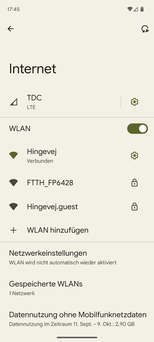 Sie sind nun mit dem WLAN-Netzwerk verbunden