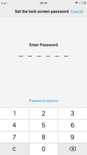 Enter a password