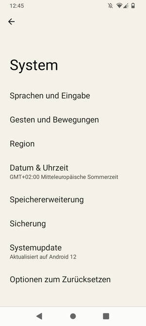 Wählen Sie Systemupdate