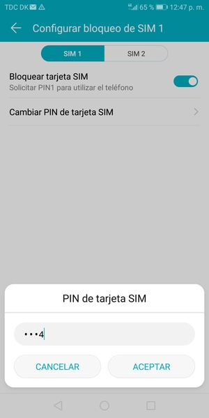 Introduzca su PIN anterior de tarjeta SIM y seleccione OK