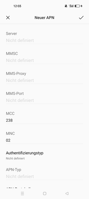 Scrollen Sie nach unten und geben Sie Internetinformationen ein