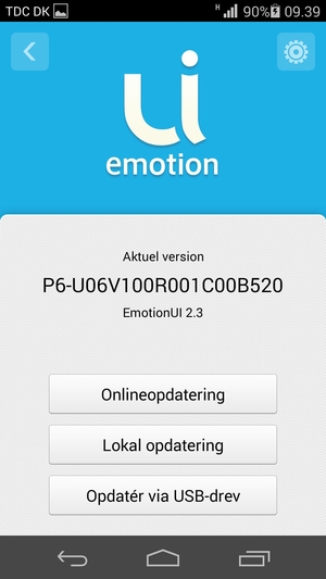 Vælg Onlineopdatering